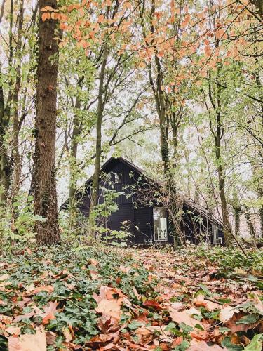Zonder Vaart, magisch plekje met bos en plukveld