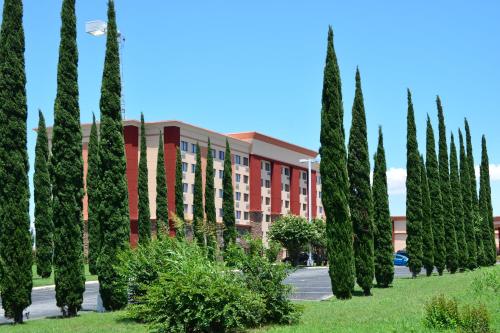 Lux Hotel & Spa, Trademark Collection by Wyndham – Arlington, TX