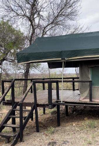 Zambalile @Letaba Ranch in Καταφύγιο άγριας ζωής Groot-Letaba Wildreservaat