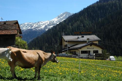  Restaurant Walserhof, Pension in Medels im Rheinwald bei Hinterrhein