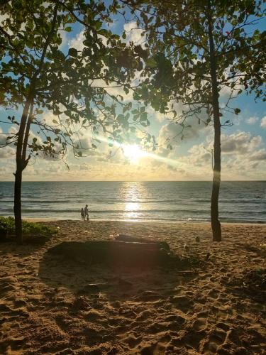 Kingsacre – Ko Phuket, WY