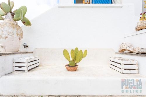 Villetta Pisa 1 by Puglia On line Villetta Pisa 1 by Puglia On line