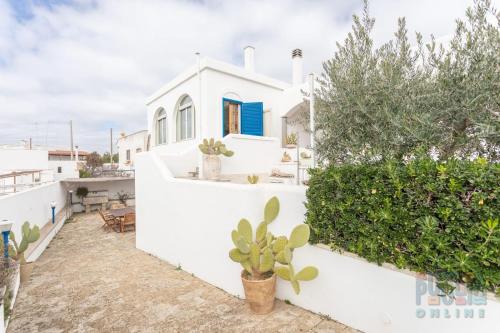 Villetta Pisa 1 by Puglia On line Villetta Pisa 1 by Puglia On line