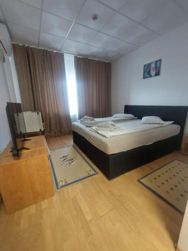 Magnific Hotel in Borș