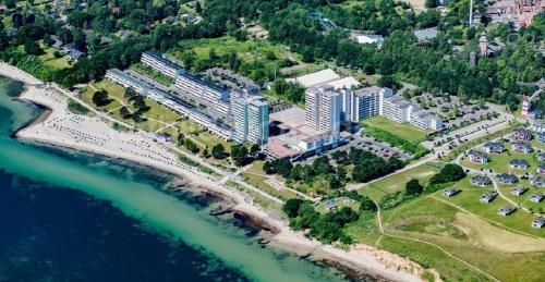 Ostseeschwalbe am Fahrenkrog in Sierksdorf