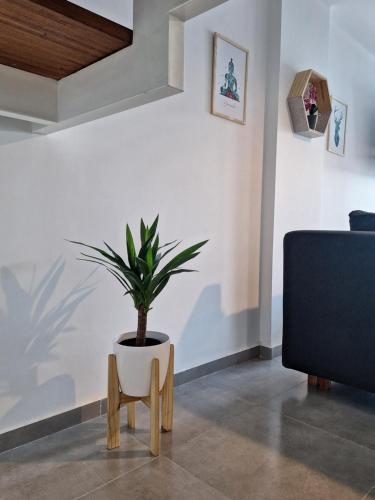 Two-Bedroom Apartment image 8