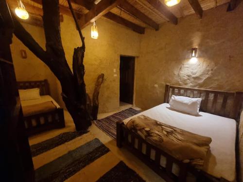 Olive Garden House Siwa Siwa