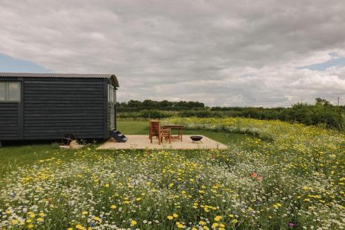 Barley Shepherd Hut - Snettisham Meadows