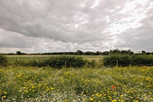 Barley Shepherd Hut - Snettisham Meadows