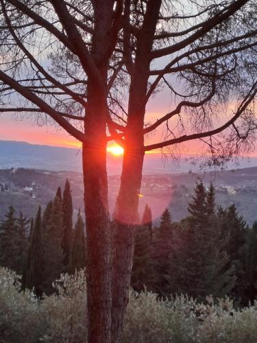  B&B La Dimora di Alida in Fiesole