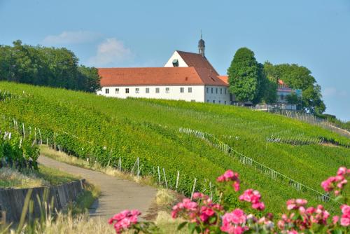 Vogelsburg - Hotel - Volkach