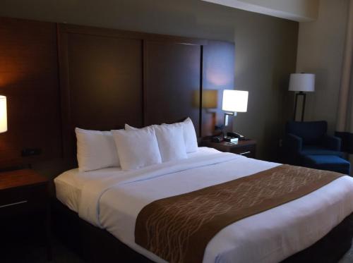 Comfort Inn & Suites Seguin