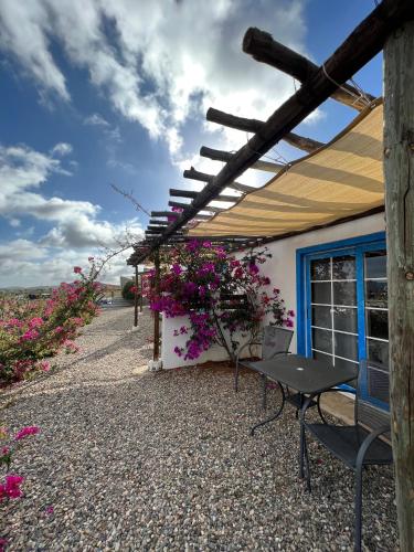 Santerra, Valle de Guadalupe