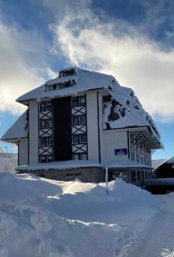 Kopaonik Župa 505