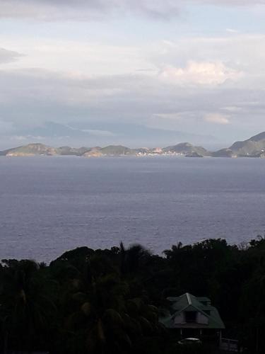 Изглед, Goyave-Cerise in Trois-Rivieres