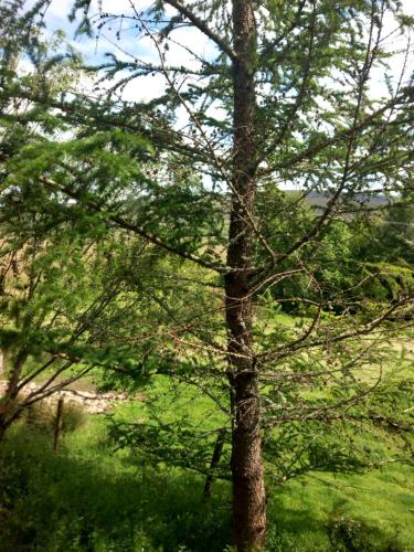 Eagle's Nest Connemara and Mayo