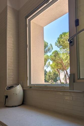 Pepper House - cozy apartment, Conversano (foto 7)