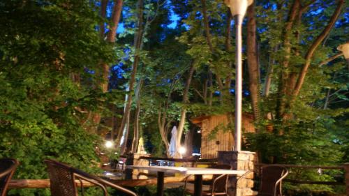 Margaret's Island Hotel - image 7