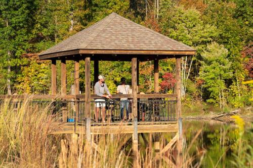 สภาพแวดล้อมโดยรอบ, Juneberry Ridge in อัลเบมาร์ล (NC)