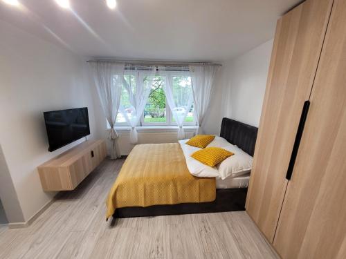Apartament Zabrze Grzybowska in Забже