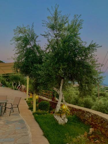  Riza Apartments in Kardhamili