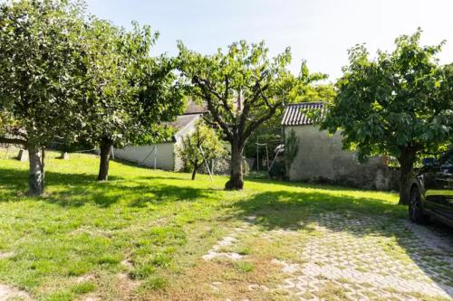 Chambre d'hôte au milieu des vignes avec magnifique vue sur le lac et jardin