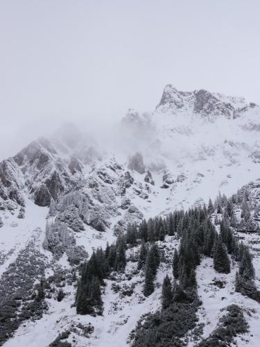 Arlberg Lodges - image 14