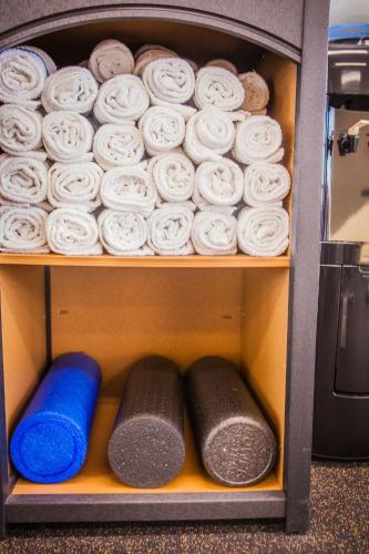 德梅因市中心怜悯校区假日酒店 德梅因市中心怜悯校区假日酒店