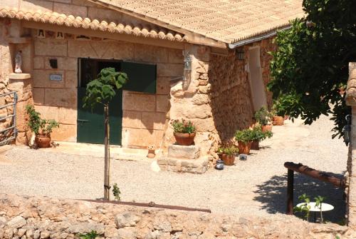 Finca Can Paulino - image 13