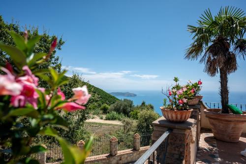 la villa di nonna angela - Accommodation - Pisciotta