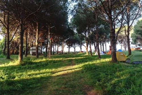 Camping çuğra