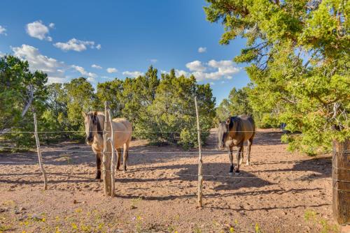 Hidden Santa Fe Gem - Nestled in Tesuque Hills! - image 12