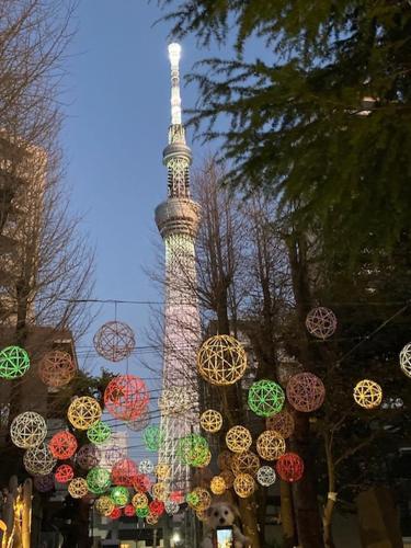 Sky Tree INN (晴樹宿）stay ASAKUSA