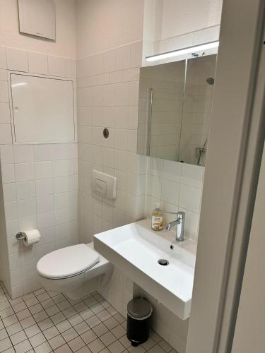 Casa Frida - Business Apartment near Airport BER, kitchen, bathroom, balcony, car park, Berlin (photo 11)