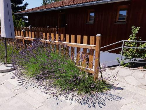 Schiebers Fewo2 mit 6 Betten Schiebers Fewo2 mit 6 Betten