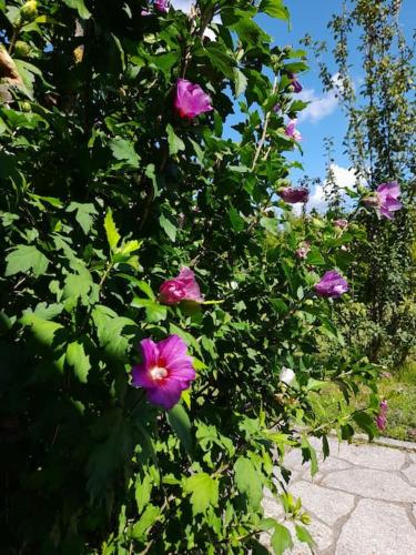 Schiebers Fewo2 mit 6 Betten Schiebers Fewo2 mit 6 Betten