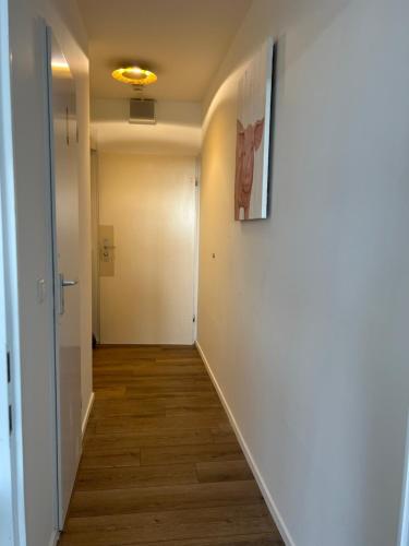 Inselblick 2 in Schleswig