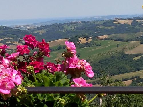 Albergo Diffuso - Il Poggetto tra Urbino & San Marino