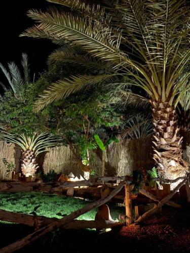 Aviary AlUla 4, Al Ula (fotografie 10)