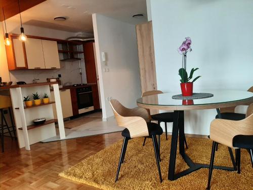 廚房, Apartment Relax with infrared Sunshower in 瓦拉日丁