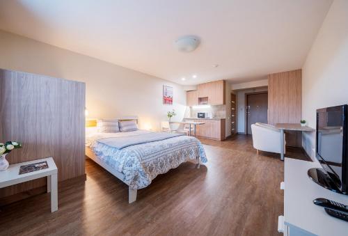 Gynėjų Self Check-in Apartments Room Type - Standard Studio