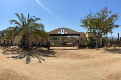 Casa Shonna in Cabo San Lucas, Mexico