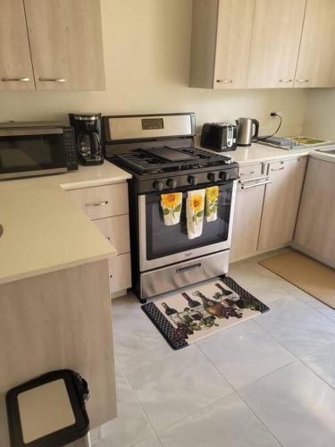 Instalaciones, Paris' -Oasis in Discovery Bay