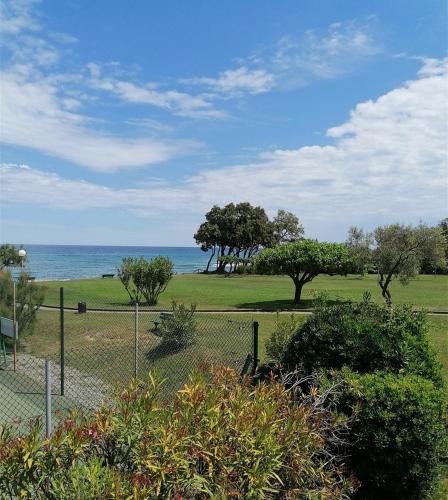 Studio 4 personnes bord de mer avec piscine wifi