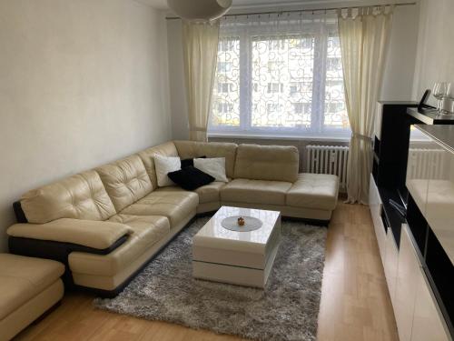 2 rooms apartment with balcony