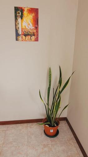 Los Trineos in Ushuaia