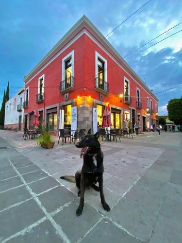 Viesnīcas āriene, Hotel Casa Ibarra in Acambaro