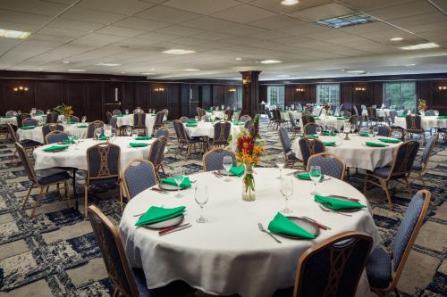 Meeting room / ballrooms, Irish Cottage Inn & Suites in Galena (IL)