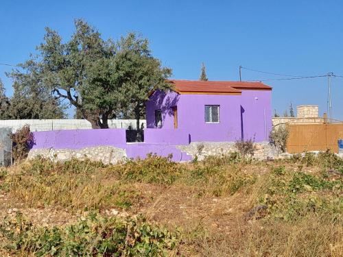 外観, Jerash mountain studio chalet شاليه جبال جرش و عجلون in ジェラシュ
