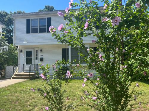 Room in Single Family House - Suburban Neighborhood in Boston in Boston, USA